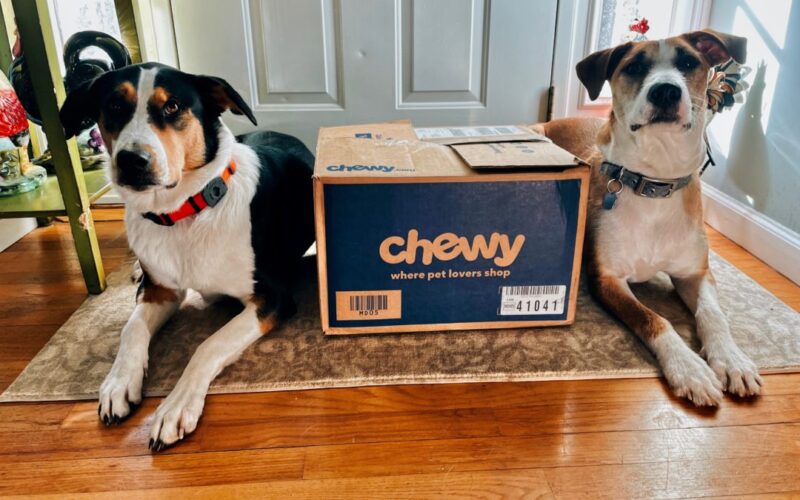 Chewy Affiliate Program Review Is It Worth It?  Asset Builders