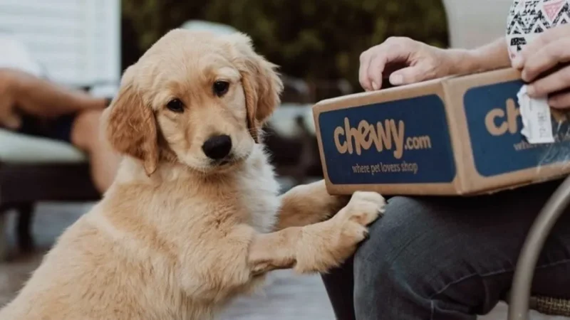 Chewy Pet Affiliate Program