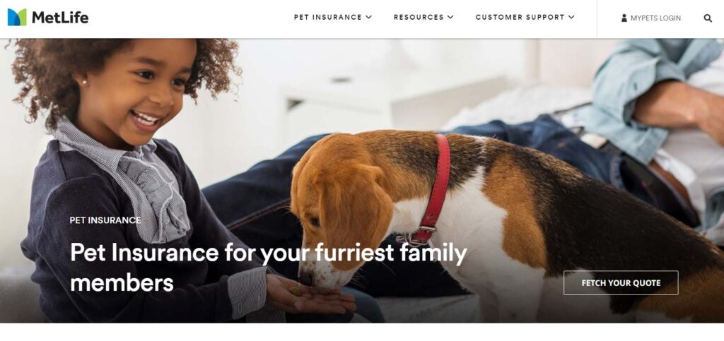 PetFirst Website